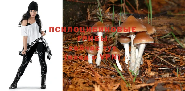 МДПВ Аркадак