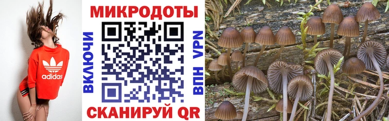 маркетплейс как зайти  продажа наркотиков  Плавск  Псилоцибиновые грибы GOLDEN TEACHER 