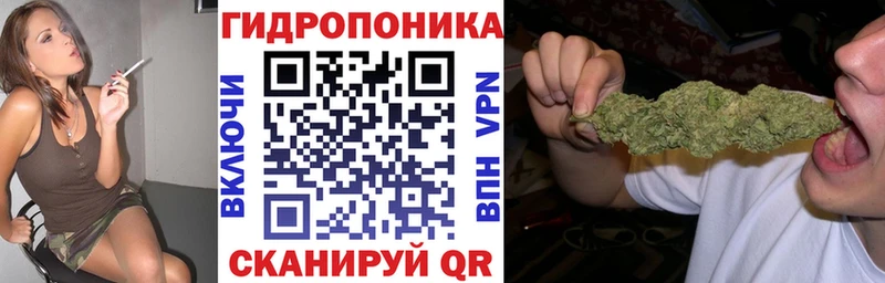 Конопля индика Плавск